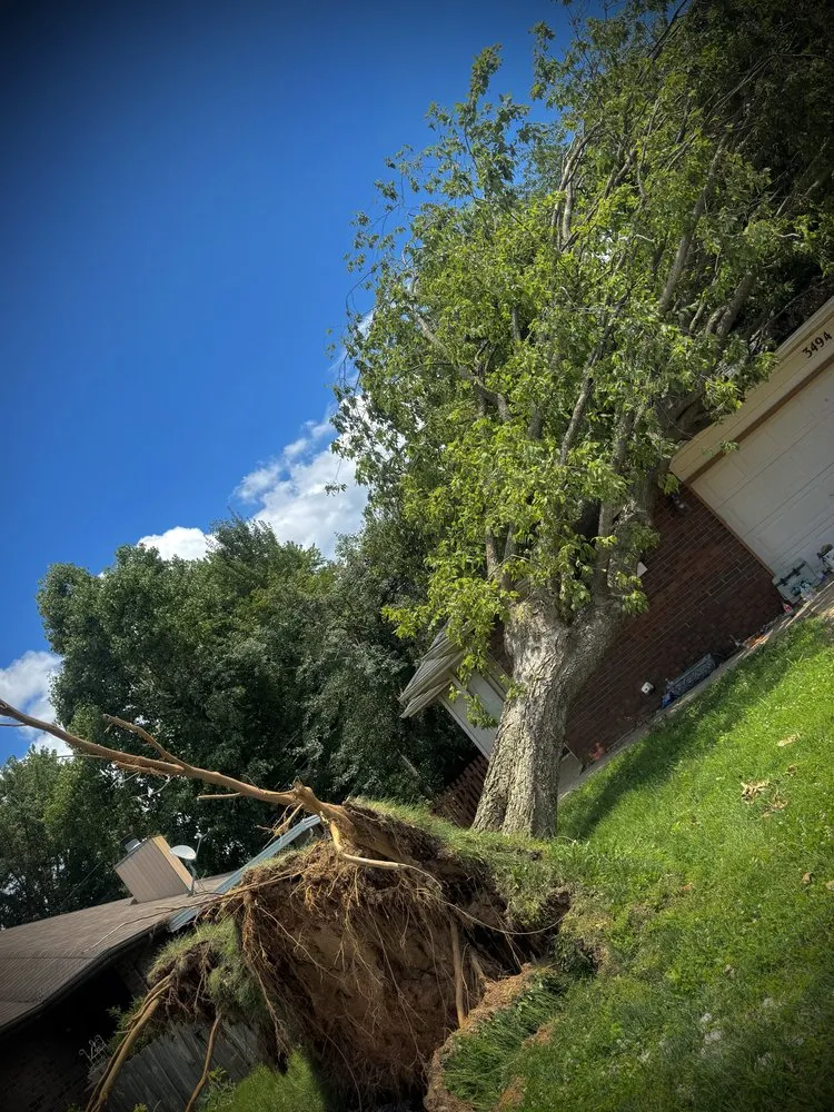 Local residential landscaping for outdoor upgrades in Battlefield, MO by Fine Trims Landscaping