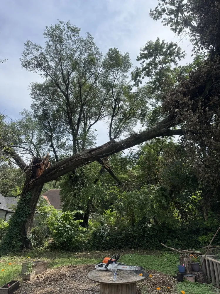 Local lawn mowing service in Battlefield, MO - Fine Trims Landscaping