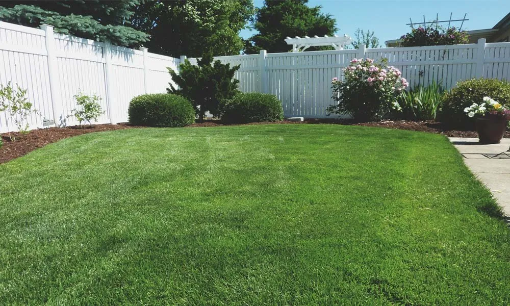 Local lawn mowing service for residential properties across Omaha, NE - Fine Turf