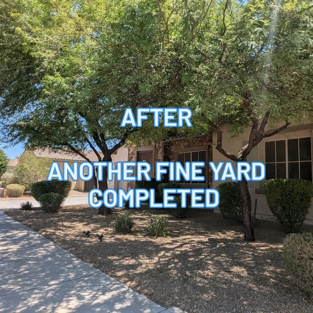 Trusted landscaping services in Goodyear, AZ - Fine Yard Management
