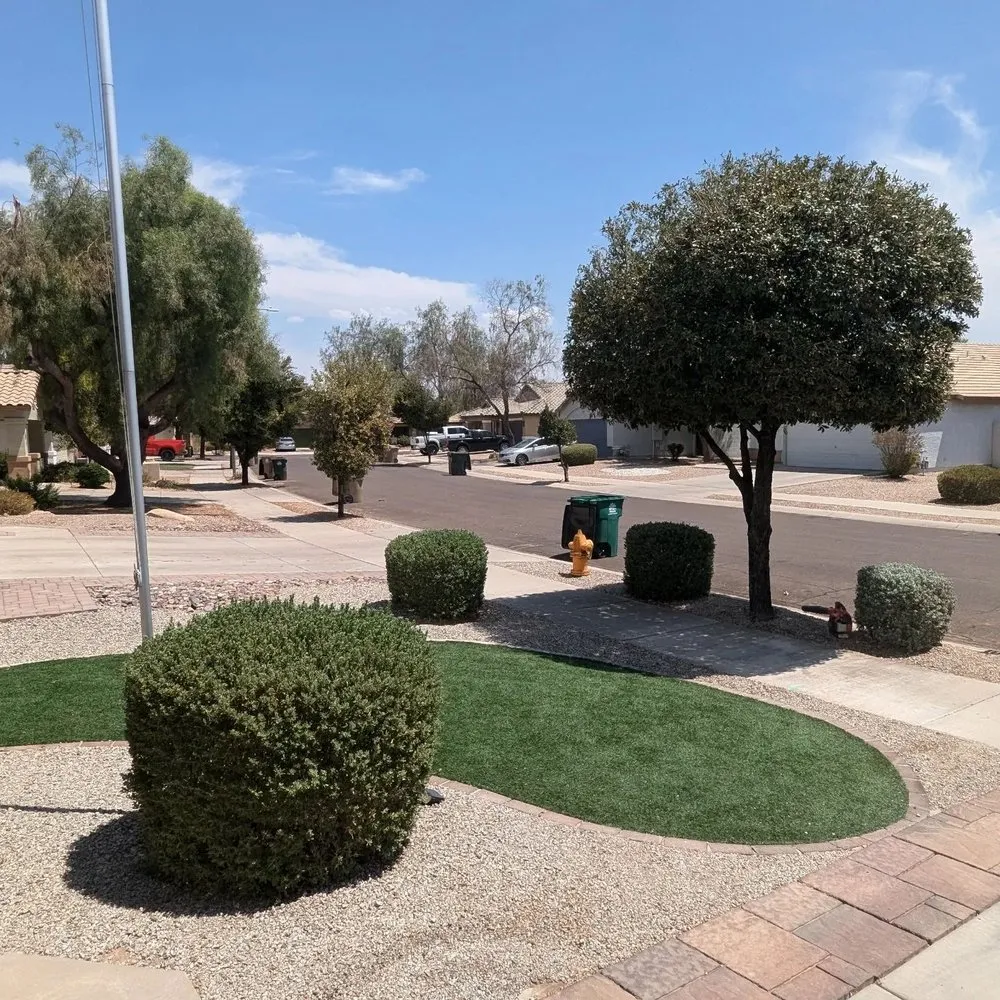 Local lawn care service for beautiful yards across Goodyear, AZ - Fine Yard Management