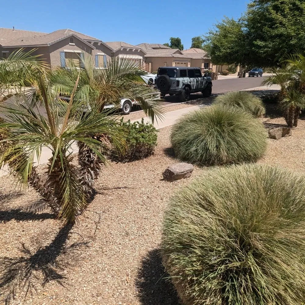 Affordable landscape design for homes in Goodyear, AZ by Fine Yard Management