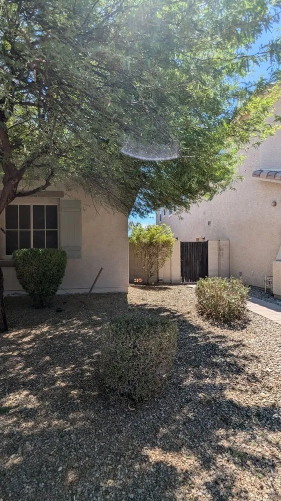 Reliable yard cleanup service in Goodyear, AZ - Fine Yard Management