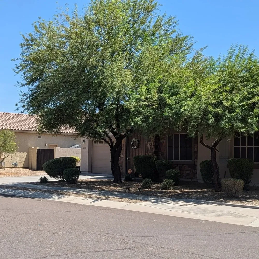 Local landscape installation in Goodyear, AZ by Fine Yard Management