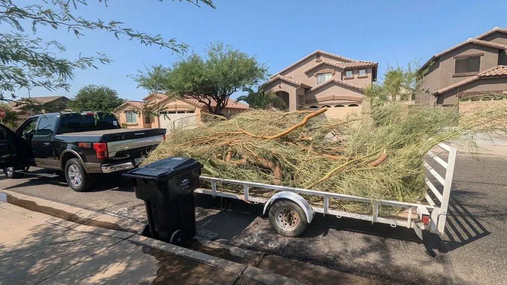 Reliable yard maintenance experts serving Goodyear, AZ - Fine Yard Management