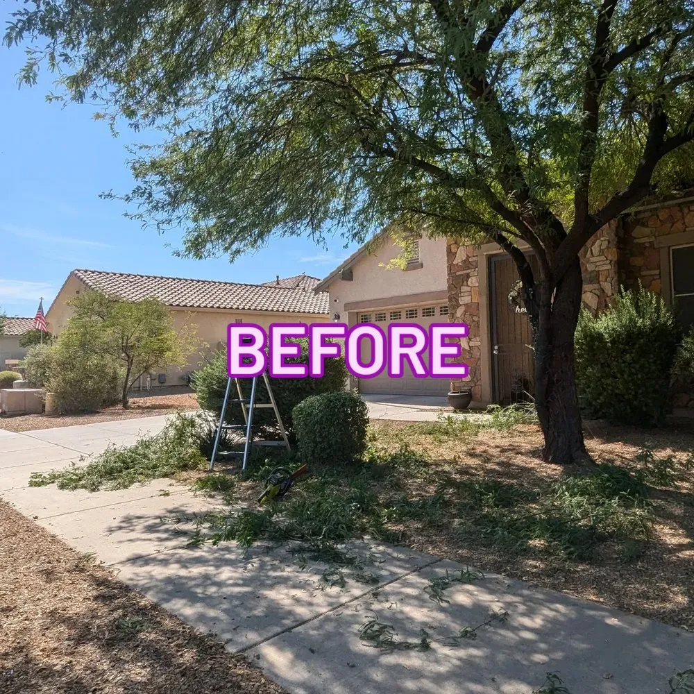 Expert residential landscaping for year-round maintenance in Goodyear, AZ by Fine Yard Management