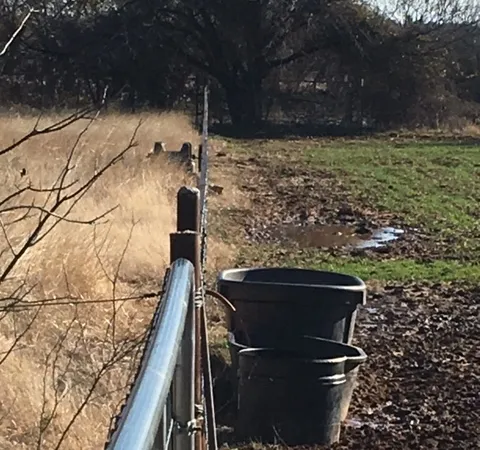 Expert yard maintenance in Bangs, TX - Fineline Tree & Landscape Solutions