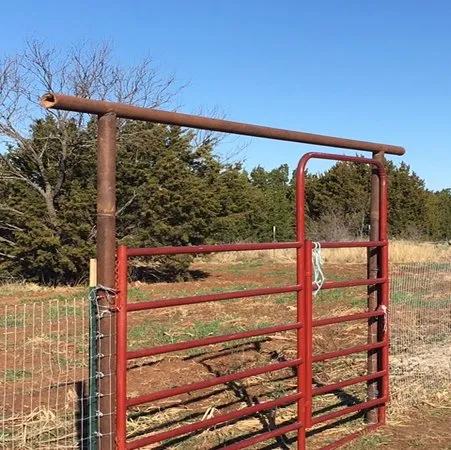 Affordable garden landscaping in Bangs, TX by Fineline Tree & Landscape Solutions