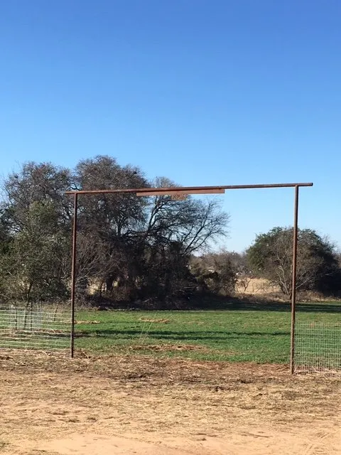 Expert lawn care service in Bangs, TX - Fineline Tree & Landscape Solutions