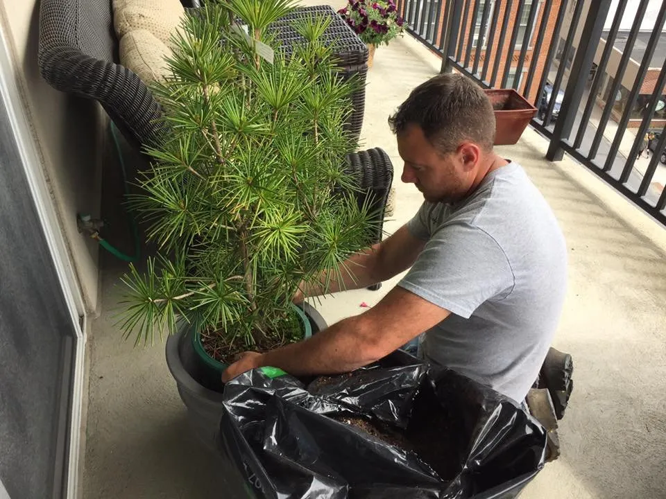 Custom landscape installation near you across Saratoga Springs, NY - Finely Finished