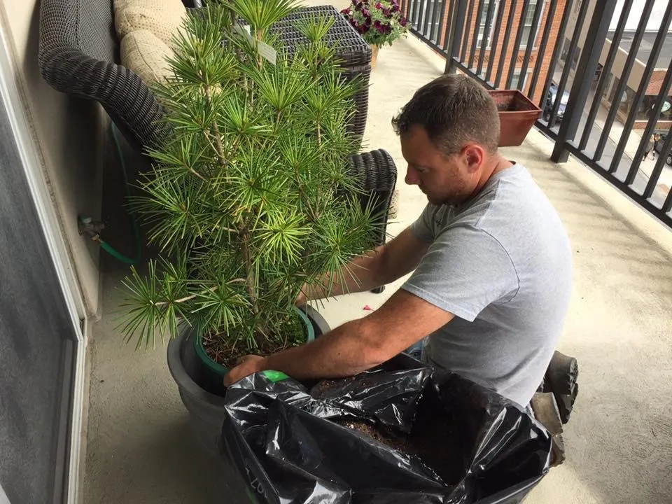 Trusted yard maintenance experts serving Saratoga Springs, NY - Finely Finished