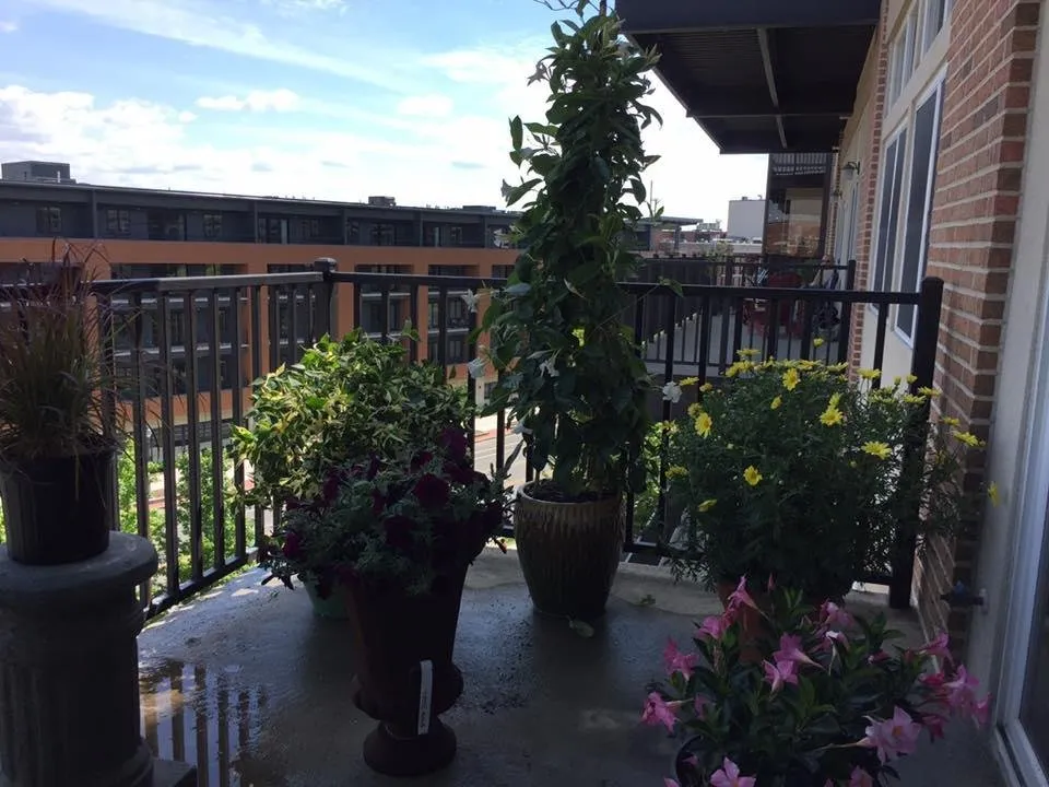 Trusted landscape design in Saratoga Springs, NY - Finely Finished