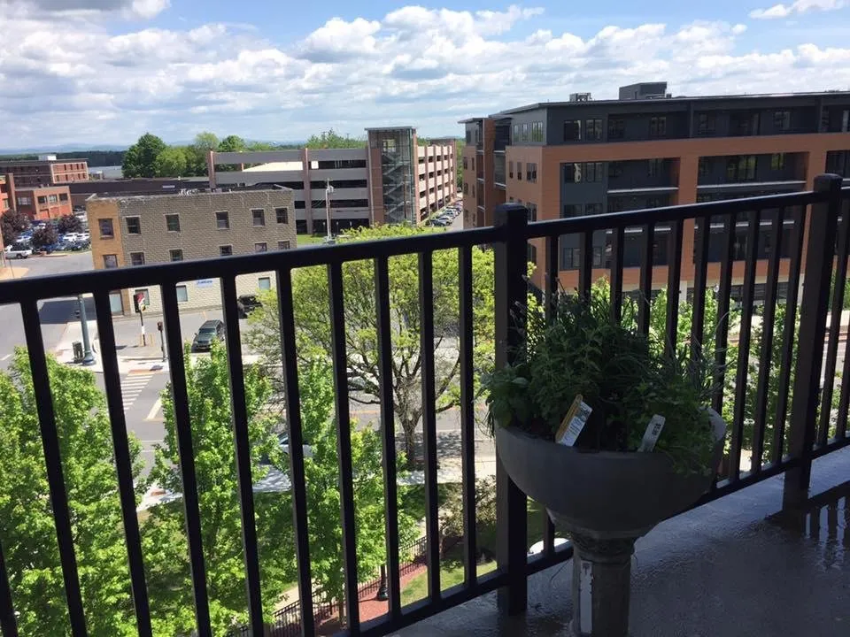 Expert yard cleanup service near you across Saratoga Springs, NY - Finely Finished