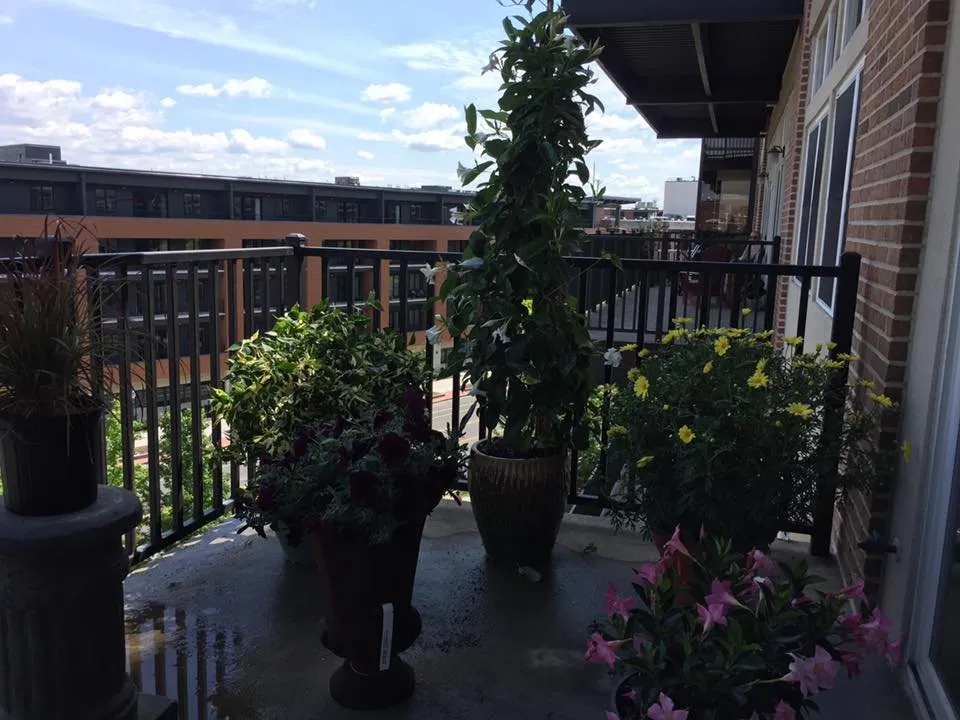 Professional yard cleanup service in Saratoga Springs, NY - Finely Finished