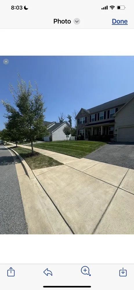 Top-rated yard cleanup service in Fort Washington, MD by Finely Grounds Management