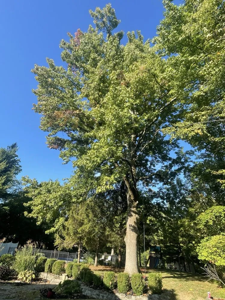 Expert yard cleanup service with custom design in Loveland, OH by Finer Lawn and Landscaping