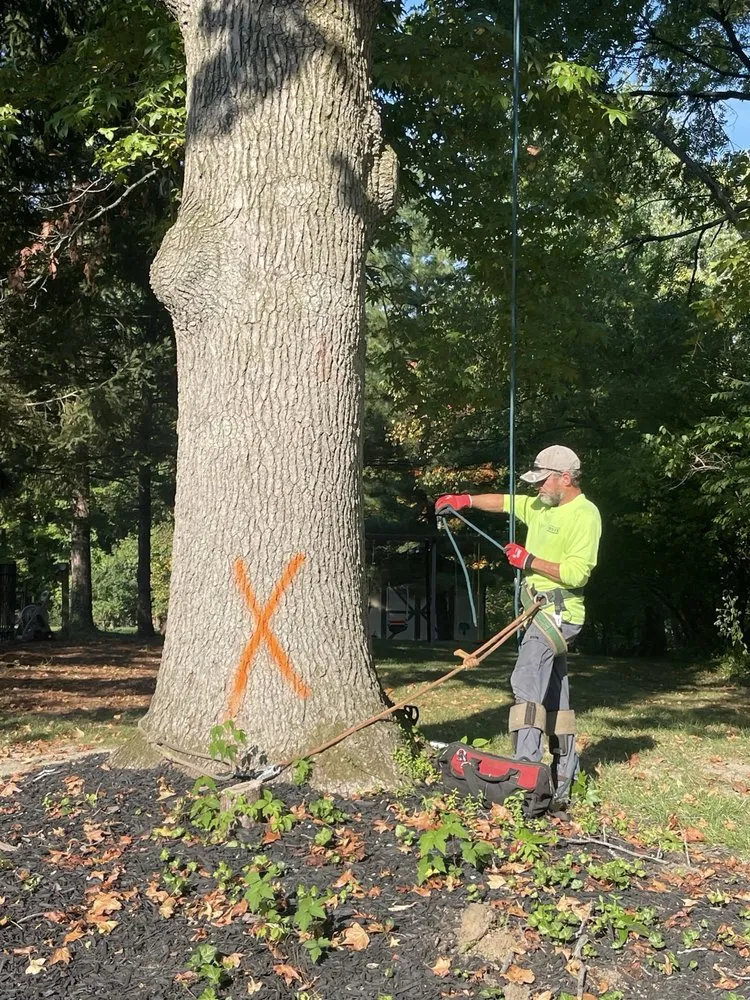 Reliable yard maintenance experts serving Loveland, OH - Finer Lawn and Landscaping