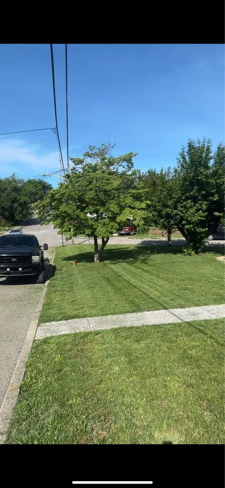 Trusted lawn mowing service in Roanoke, VA by Fines Lawncare Services
