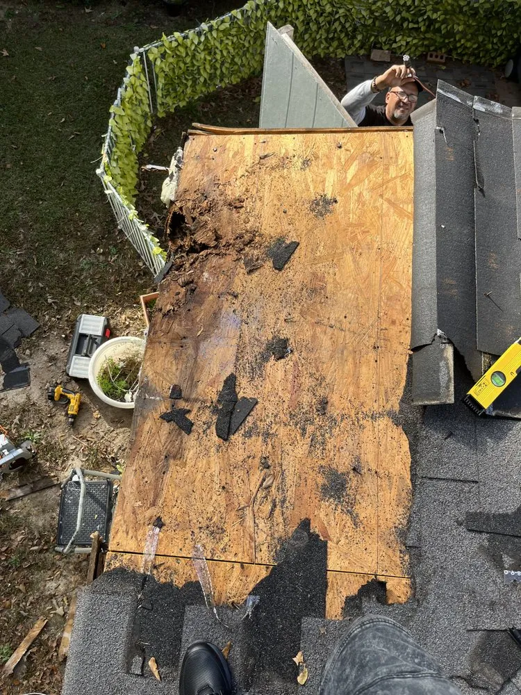 Reliable yard cleanup service in Greenville, SC - Finess Landscaping