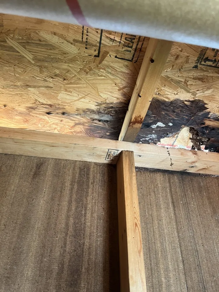 Custom residential landscaping for year-round maintenance in Greenville, SC by Finess Landscaping