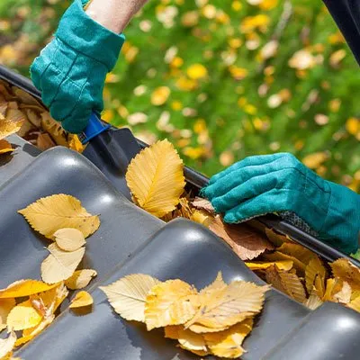 Local lawn care service with custom design in Saint Louis, MO by Finessed Lawn Care