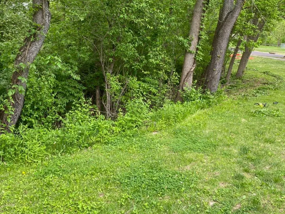 Custom lawn mowing service for residential properties in Saint Louis, MO by Finessed Lawn Care