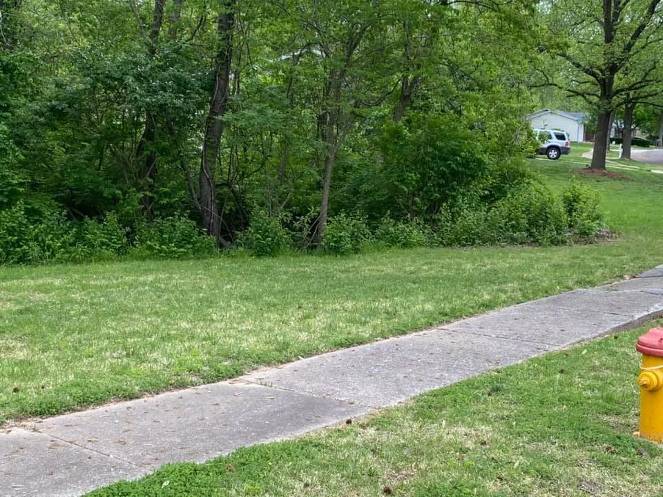 Expert yard cleanup service with custom design in Saint Louis, MO by Finessed Lawn Care