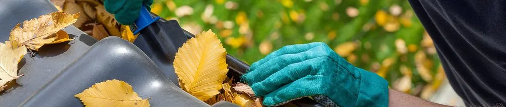 Expert landscape design in Saint Louis, MO by Finessed Lawn Care