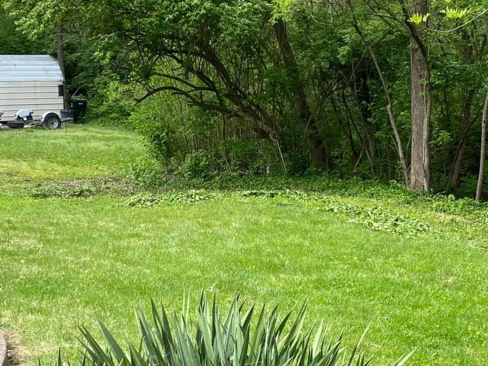 Affordable lawn care service for outdoor upgrades across Saint Louis, MO - Finessed Lawn Care