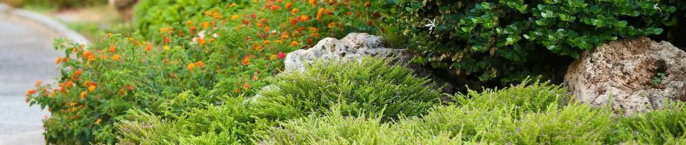 Expert outdoor landscaping in Saint Louis, MO - Finessed Lawn Care