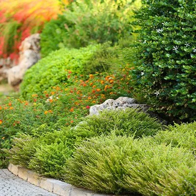 Custom yard maintenance for outdoor upgrades across Saint Louis, MO - Finessed Lawn Care