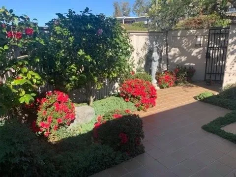 Professional lawn care service for residential properties across San Diego, CA - Finest City Landscaping