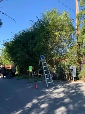 Finest City Landscaping Logo