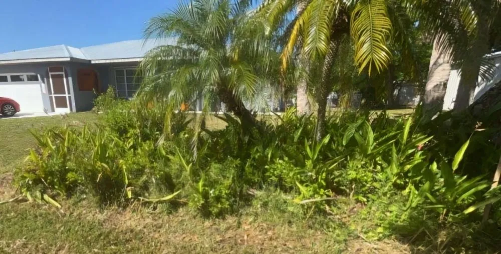 Custom lawn care service in Port Charlotte, FL by Finest Cuts LLC