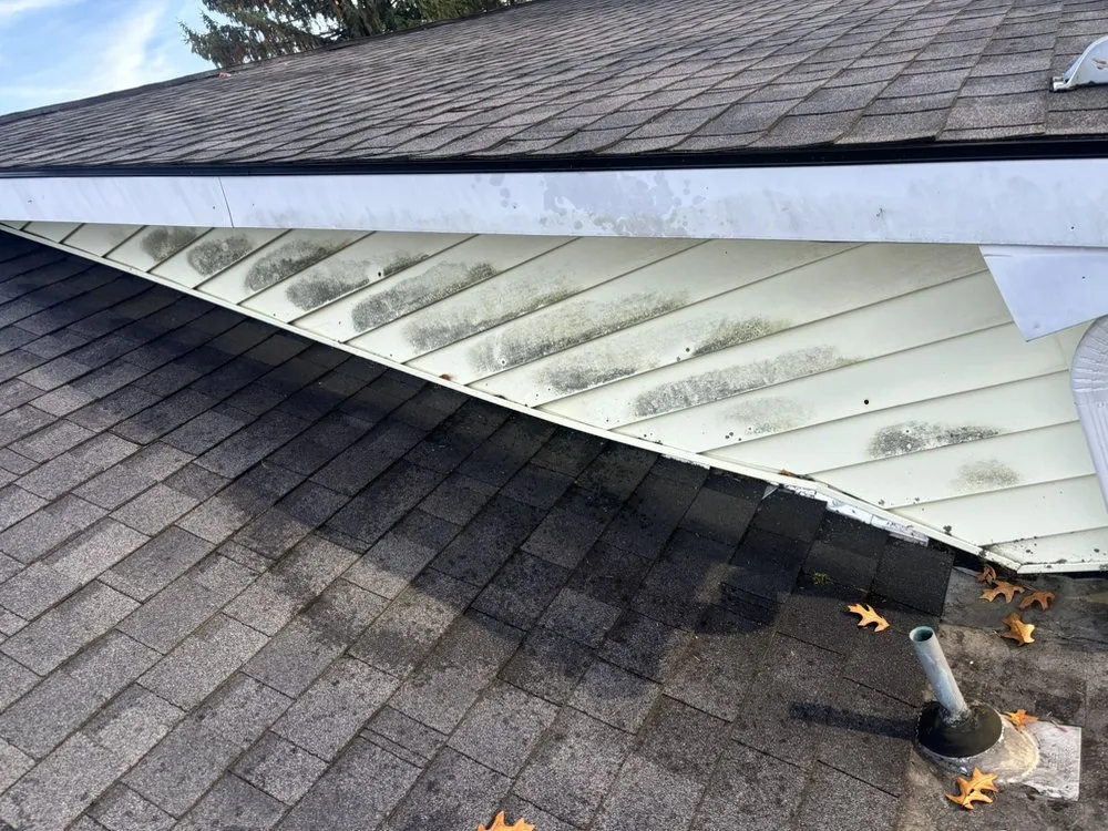 Reliable lawn mowing service experts serving East Greenbush, NY - Finest Home Solutions