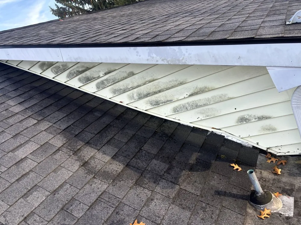 Custom outdoor landscaping experts serving East Greenbush, NY - Finest Home Solutions