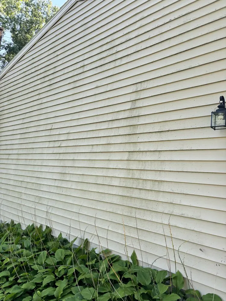 Affordable yard cleanup service experts serving East Greenbush, NY - Finest Home Solutions