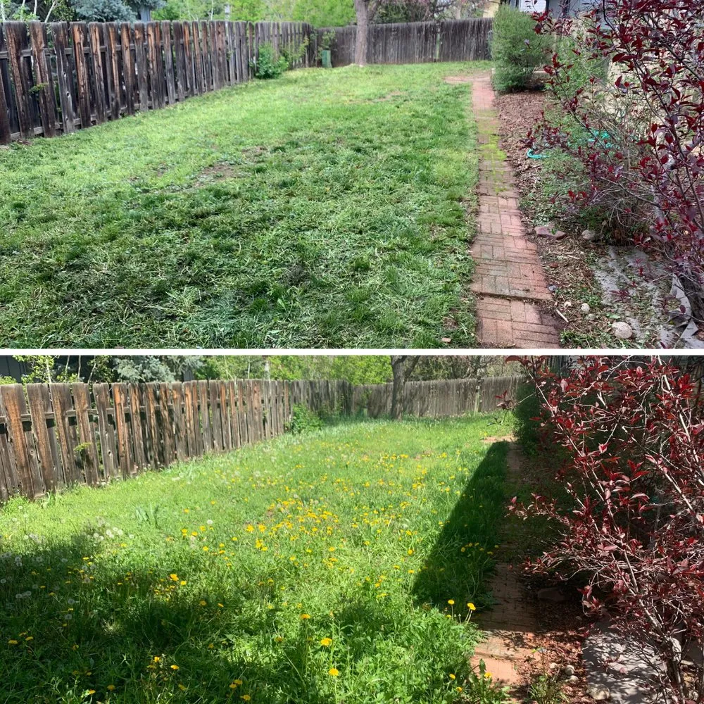 Reliable residential landscaping in Boulder, CO - Finest Lawn Service