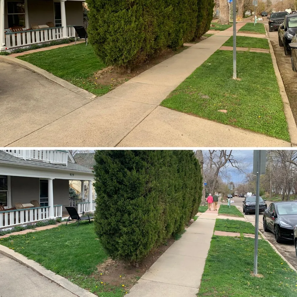 Reliable landscape design for outdoor upgrades across Boulder, CO - Finest Lawn Service