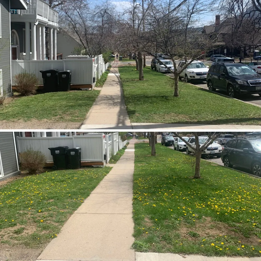 Expert residential landscaping in Boulder, CO - Finest Lawn Service