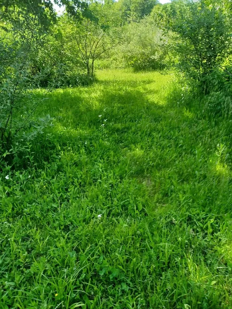 Affordable outdoor landscaping for homes across Churubusco, IN - Finest Lines Lawn Art