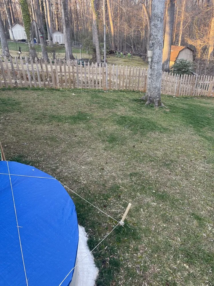 Expert yard cleanup service in Matthews, NC - FineTurf