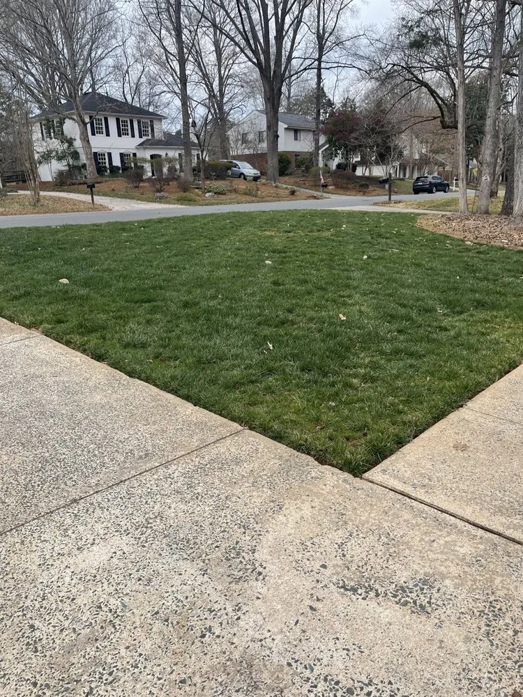 Local lawn mowing service experts serving Matthews, NC - FineTurf