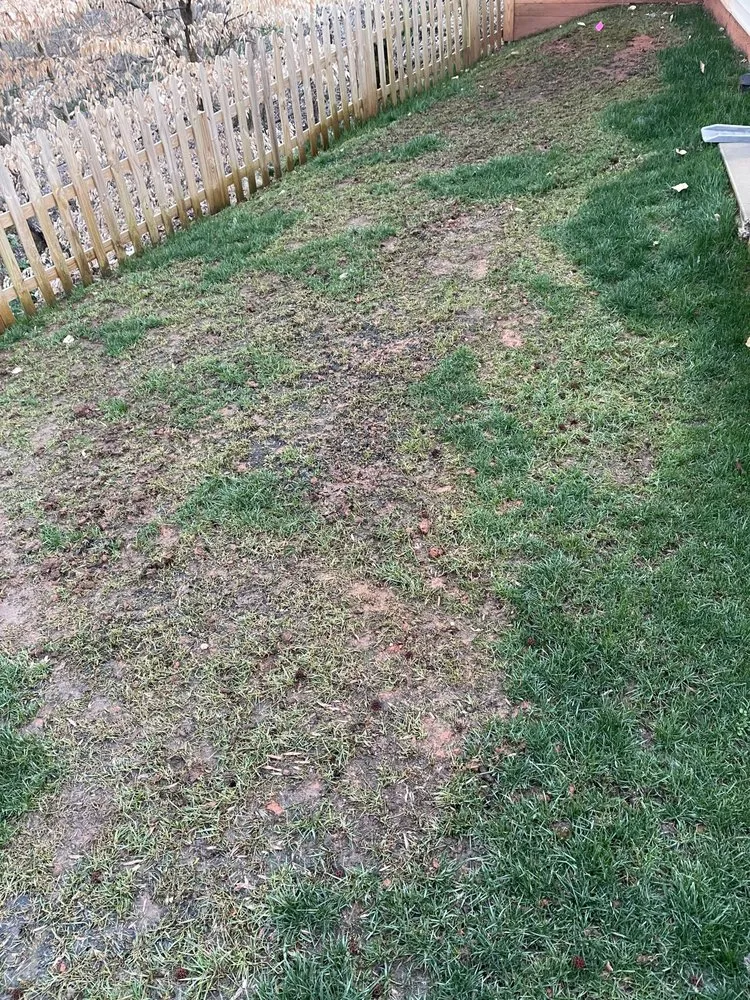 Trusted lawn mowing service in Matthews, NC - FineTurf