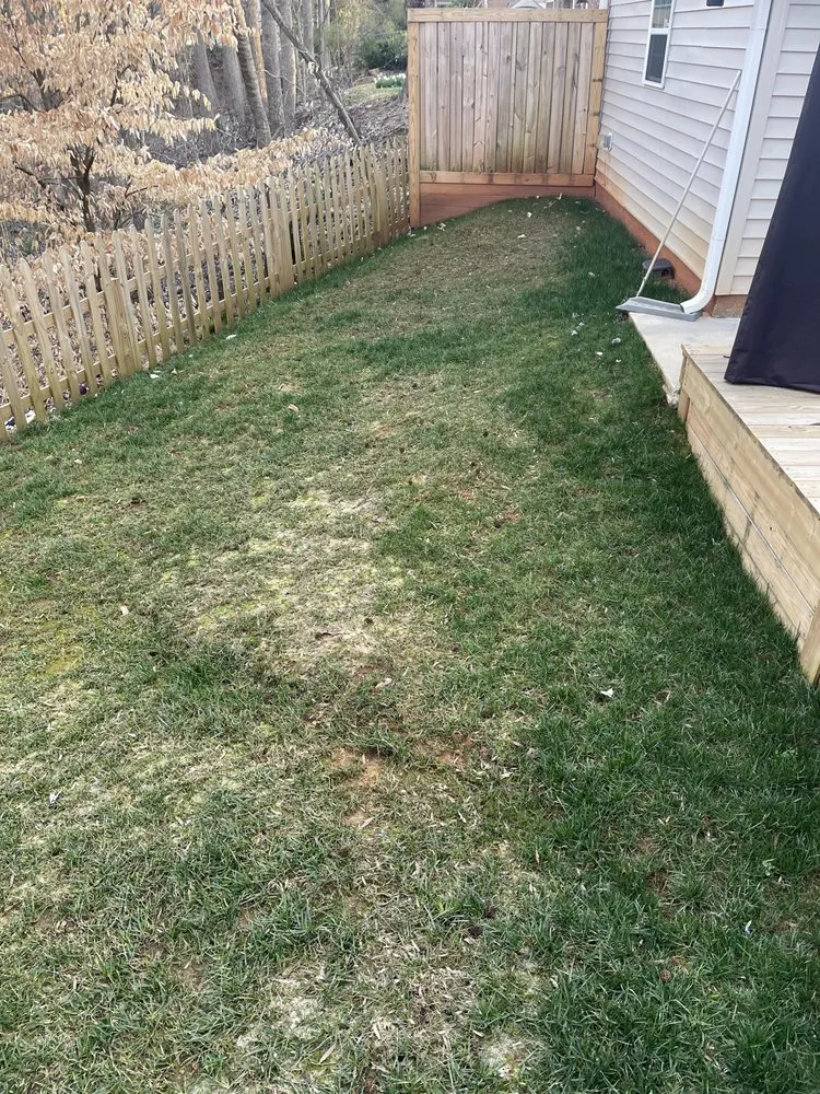 Local lawn mowing service for year-round maintenance in Matthews, NC by FineTurf