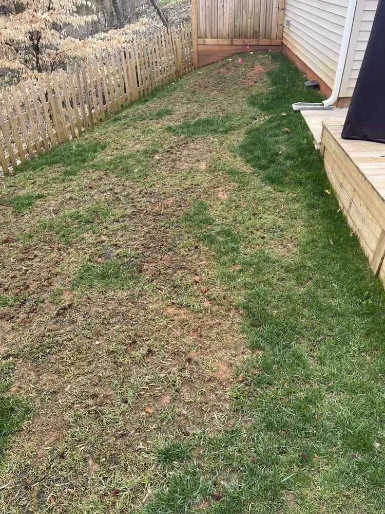 Top-rated lawn care service for residential properties across Matthews, NC - FineTurf