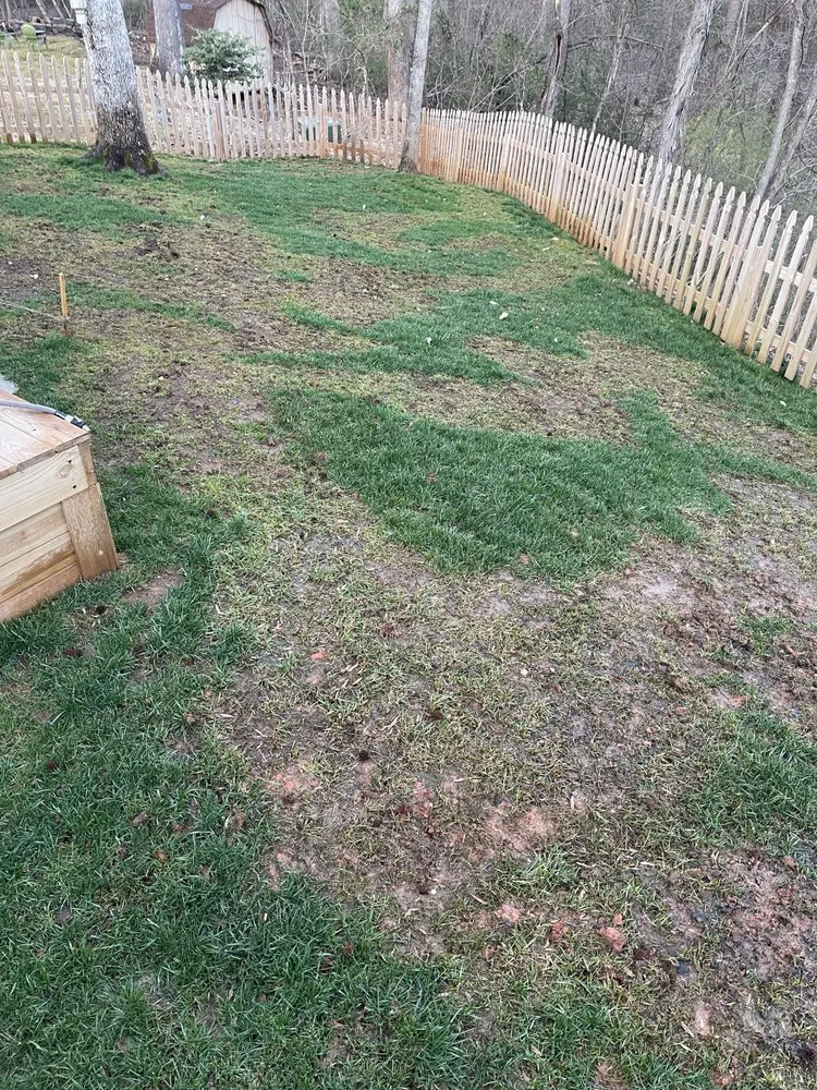 Custom yard cleanup service with custom design in Matthews, NC by FineTurf