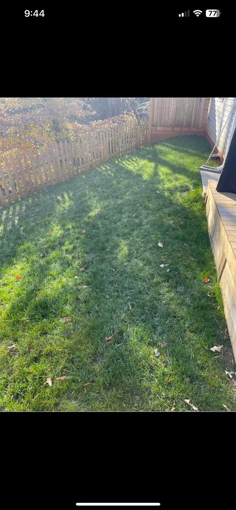 Local lawn mowing service in Matthews, NC - FineTurf