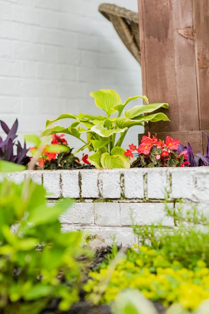 Affordable landscaping services experts serving Matthews, NC - FineTurf