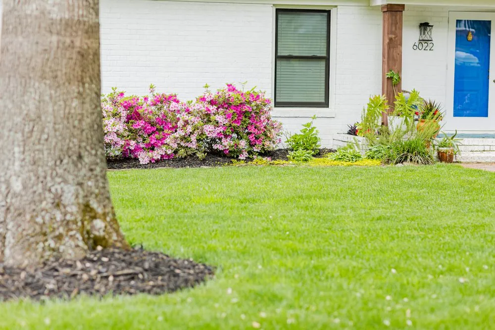 Reliable landscaping services in Matthews, NC - FineTurf